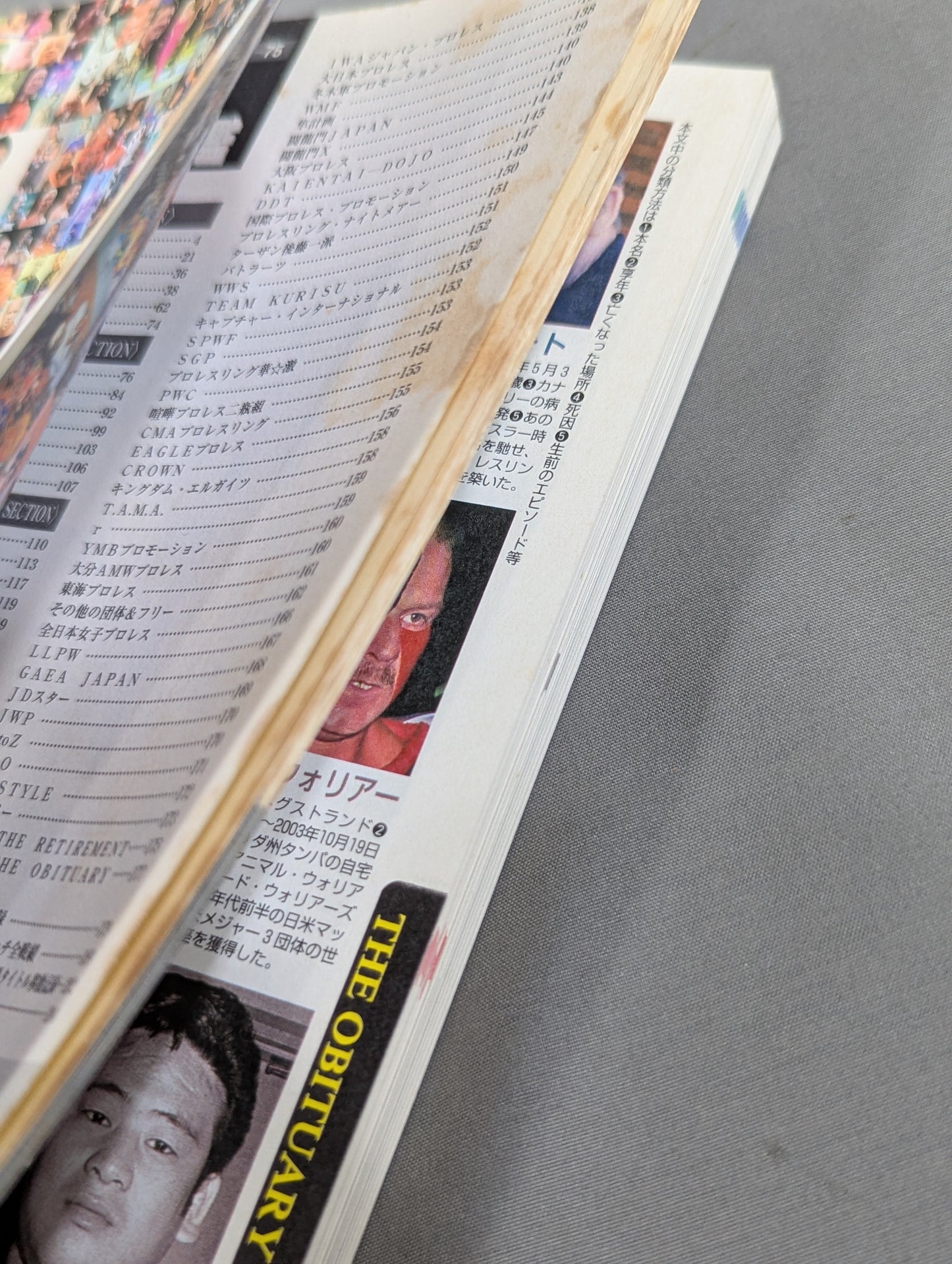 2004 Gong Pro Wrestling  Color Directory