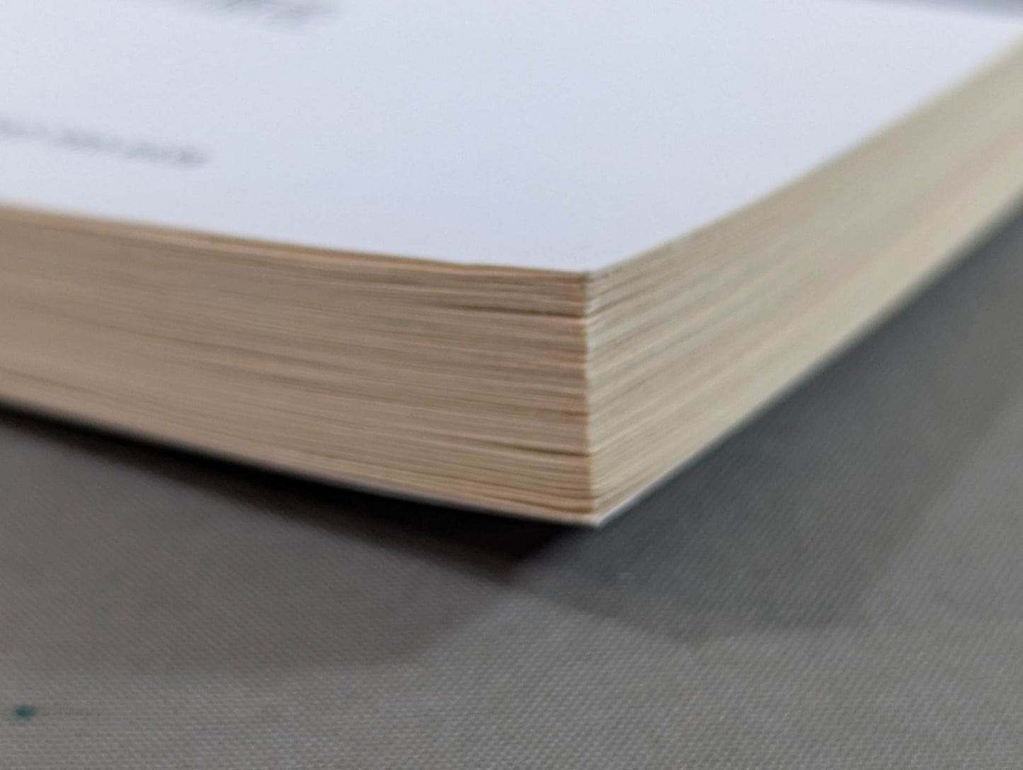 Budo News Sannovolic [First Issue 3]