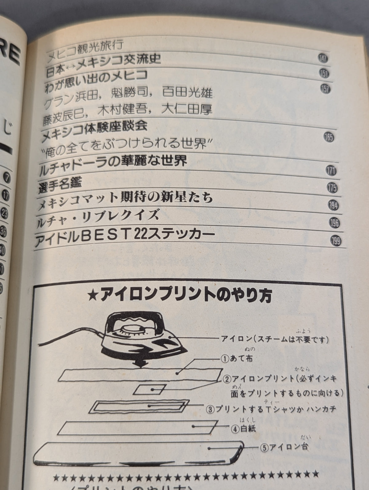 Pro Wrestling All Guidebook (2) LUCHA LIBRE Lucha Libre Fight for Freedom