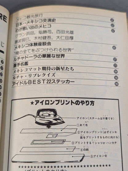 Pro Wrestling All Guidebook (2) LUCHA LIBRE Lucha Libre Fight for Freedom