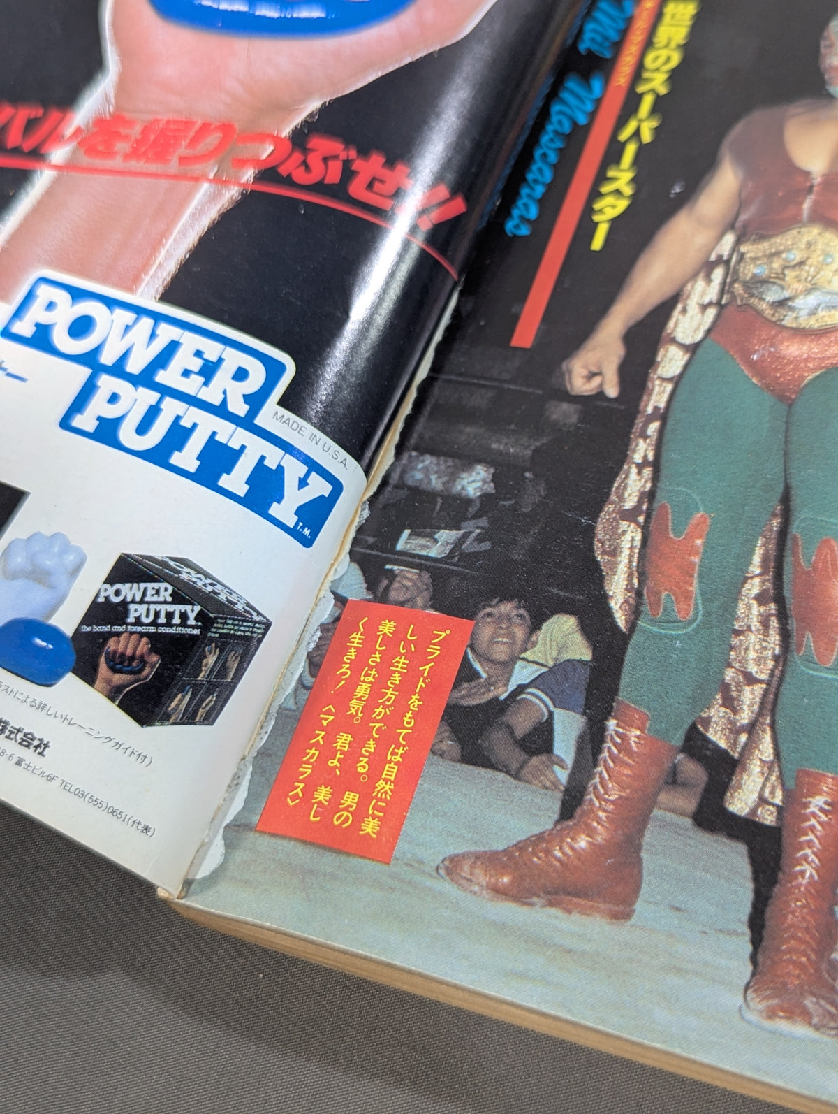 Pro Wrestling All Guidebook (2) LUCHA LIBRE Lucha Libre Fight for Freedom