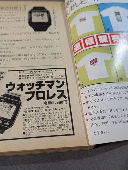 Pro Wrestling All Guidebook (2) LUCHA LIBRE Lucha Libre Fight for Freedom