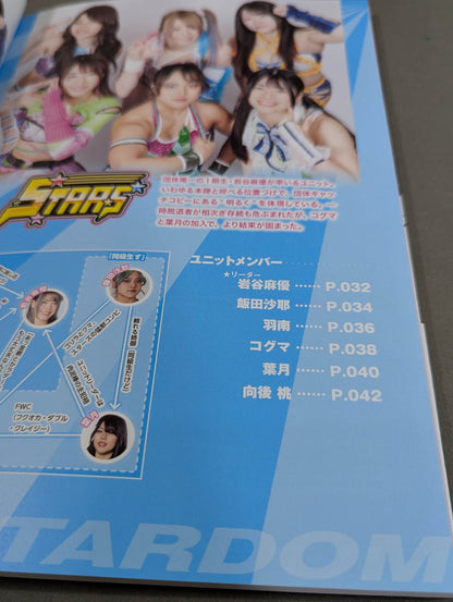 スターダム ファンブック2 / STARDOM FANBOOK 2