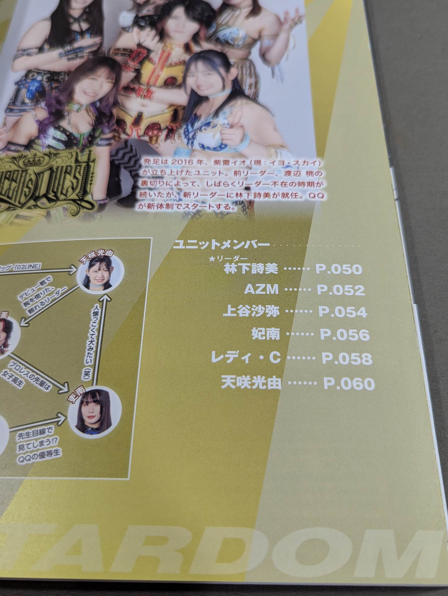 スターダム ファンブック2 / STARDOM FANBOOK 2