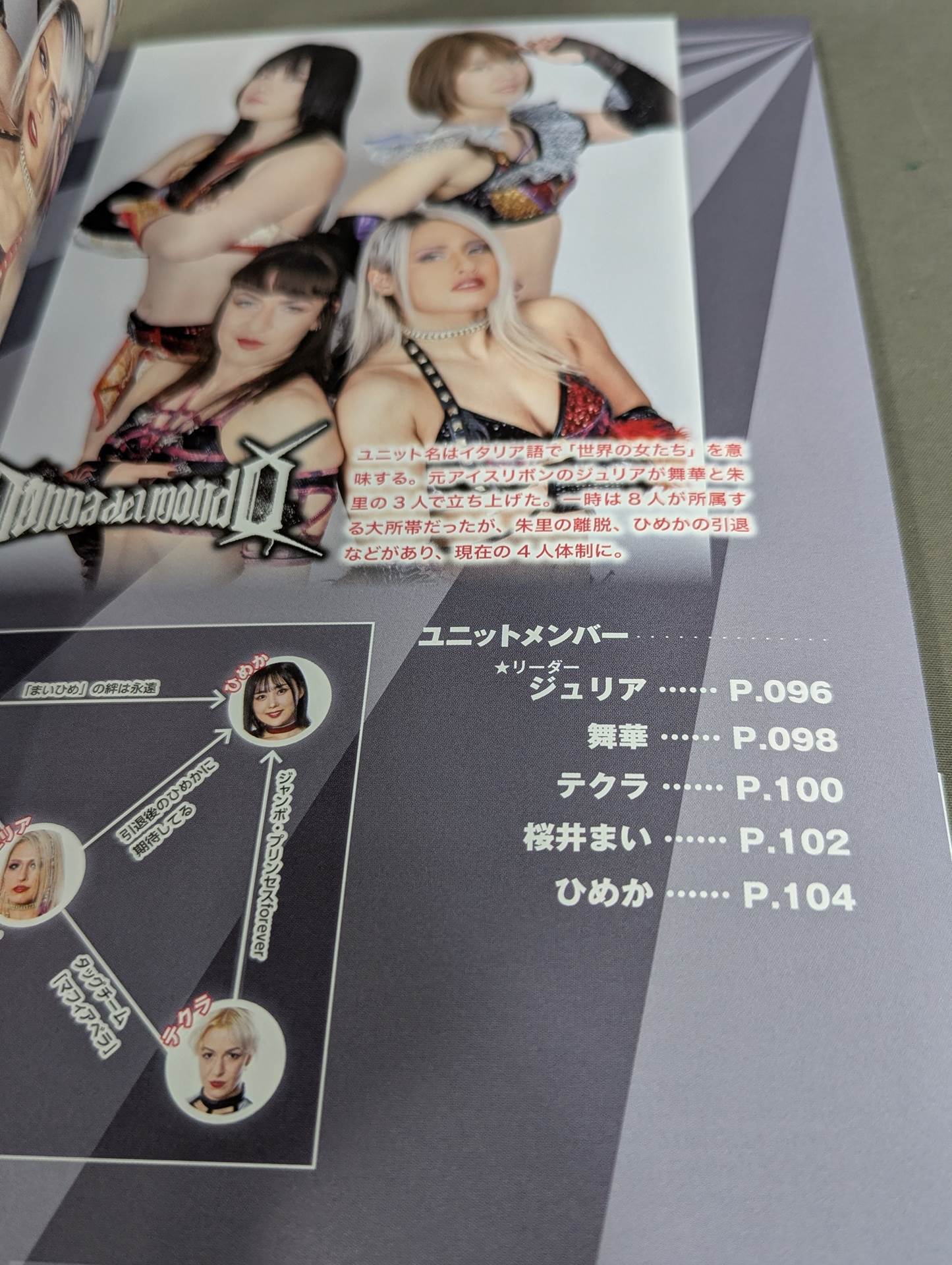 スターダム ファンブック2 / STARDOM FANBOOK 2