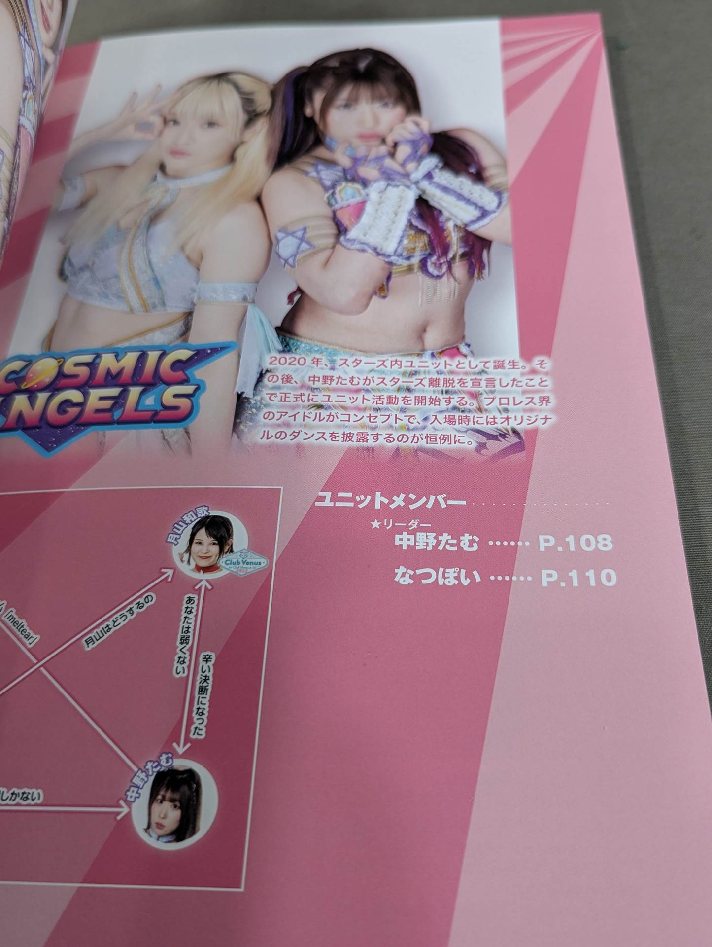 スターダム ファンブック2 / STARDOM FANBOOK 2