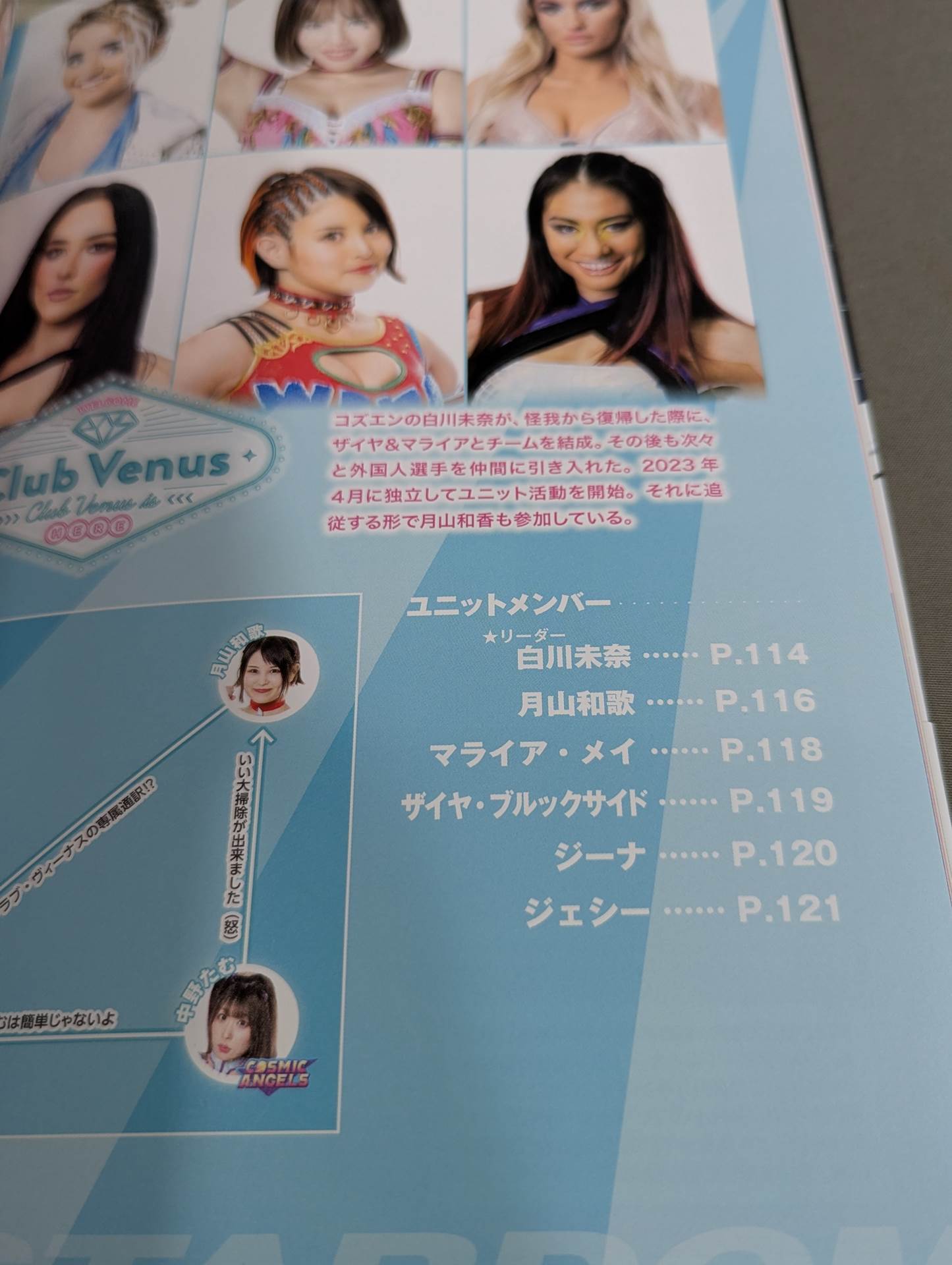 スターダム ファンブック2 / STARDOM FANBOOK 2