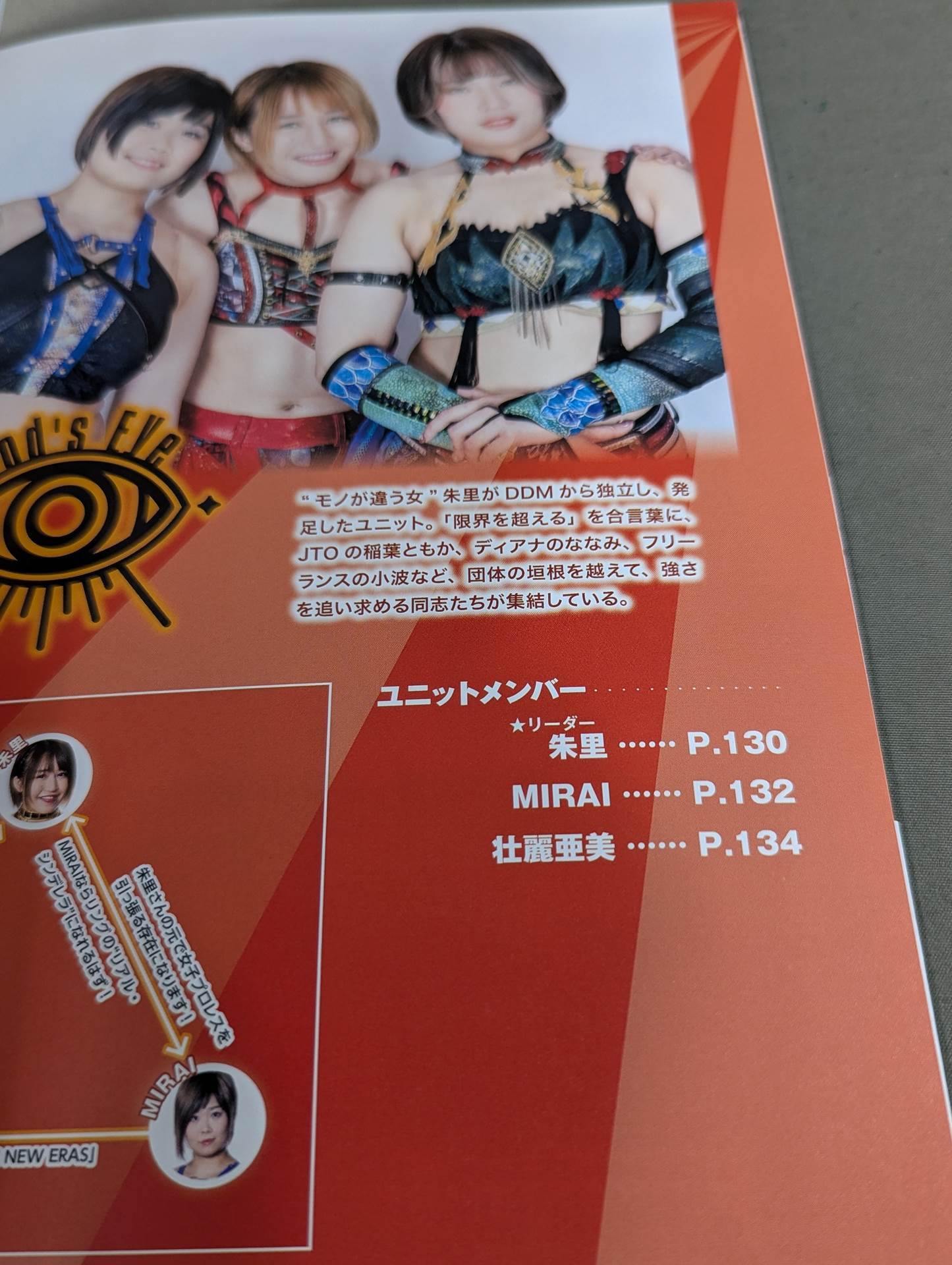 スターダム ファンブック2 / STARDOM FANBOOK 2