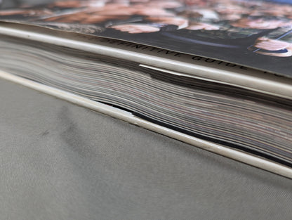 WWE Encyclopedia Updated & Expanded ： THE DEFINITIVE GUIDE TO WWE