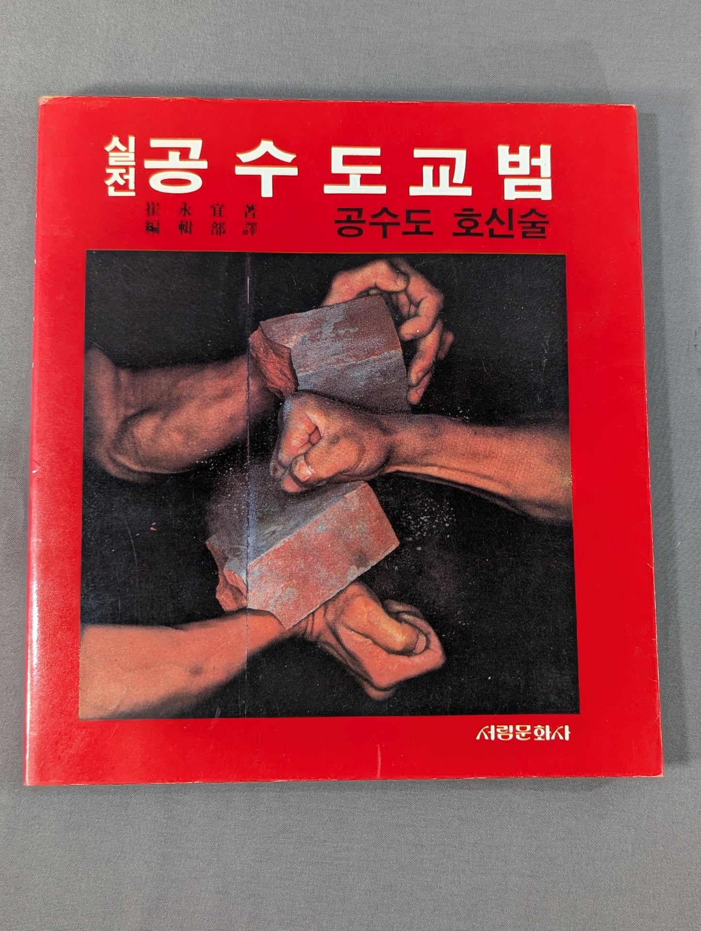 Practical Mansion Manual (實戰 KARATE道教範)