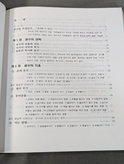 Practical Mansion Manual (實戰 KARATE道教範)