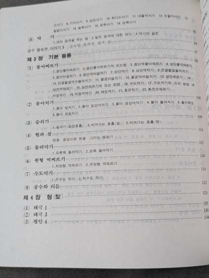 Practical Mansion Manual (實戰 KARATE道教範)