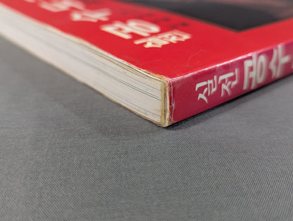 Practical Mansion Manual (實戰 KARATE道教範)