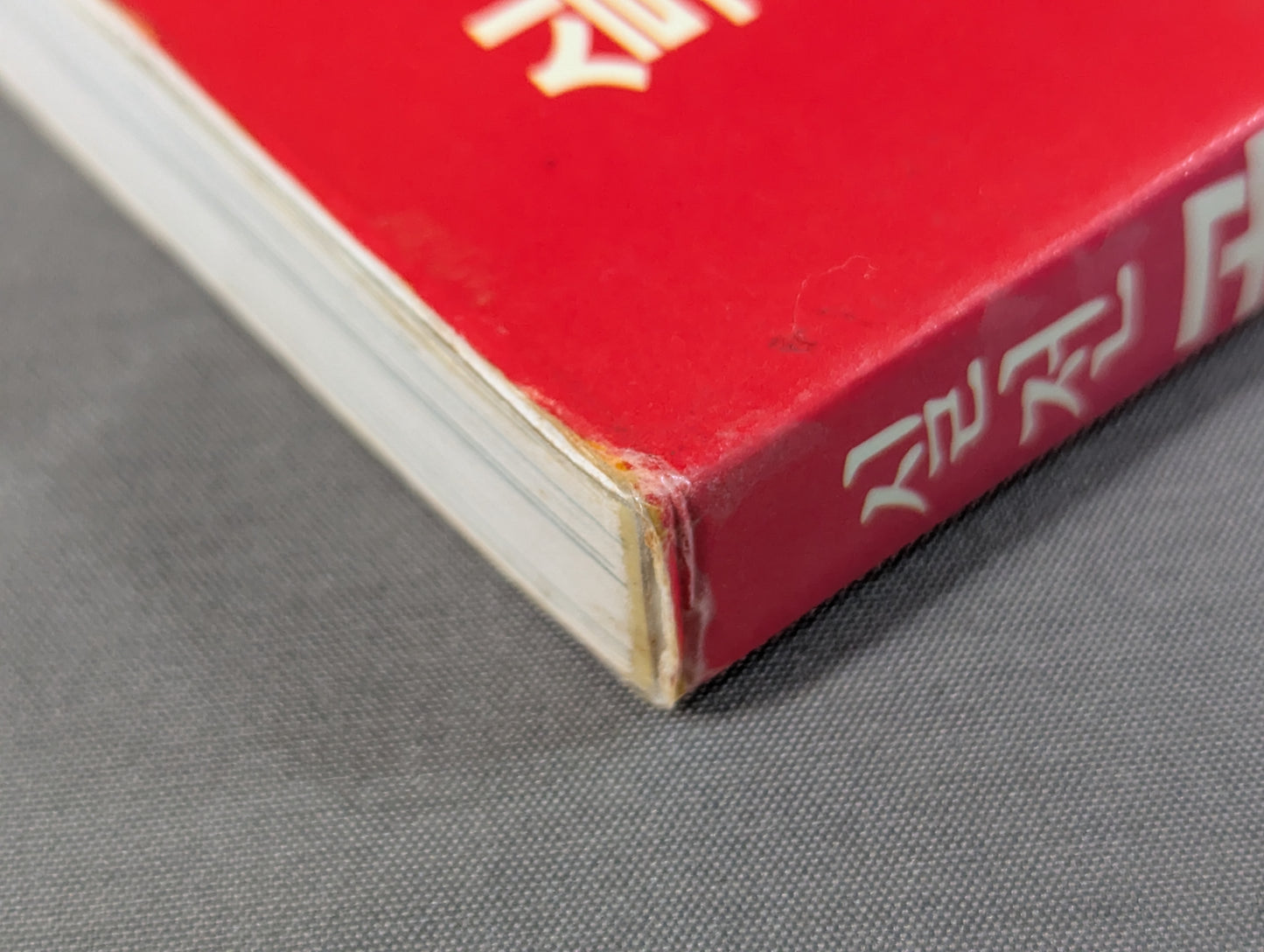 Practical Mansion Manual (實戰 KARATE道教範)