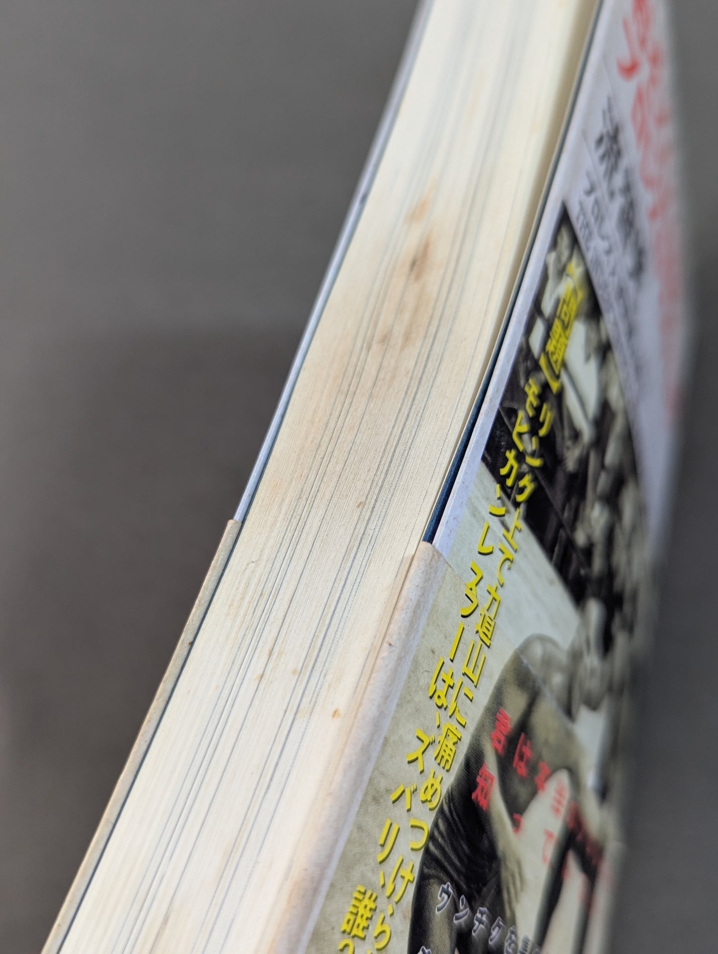 A book that tells you about Pro Wrestling so much that you can understand it frighteningly