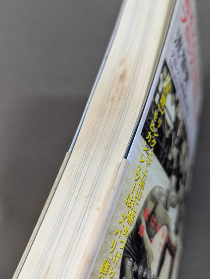 A book that tells you about Pro Wrestling so much that you can understand it frighteningly