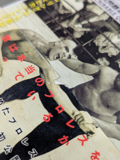 A book that tells you about Pro Wrestling so much that you can understand it frighteningly