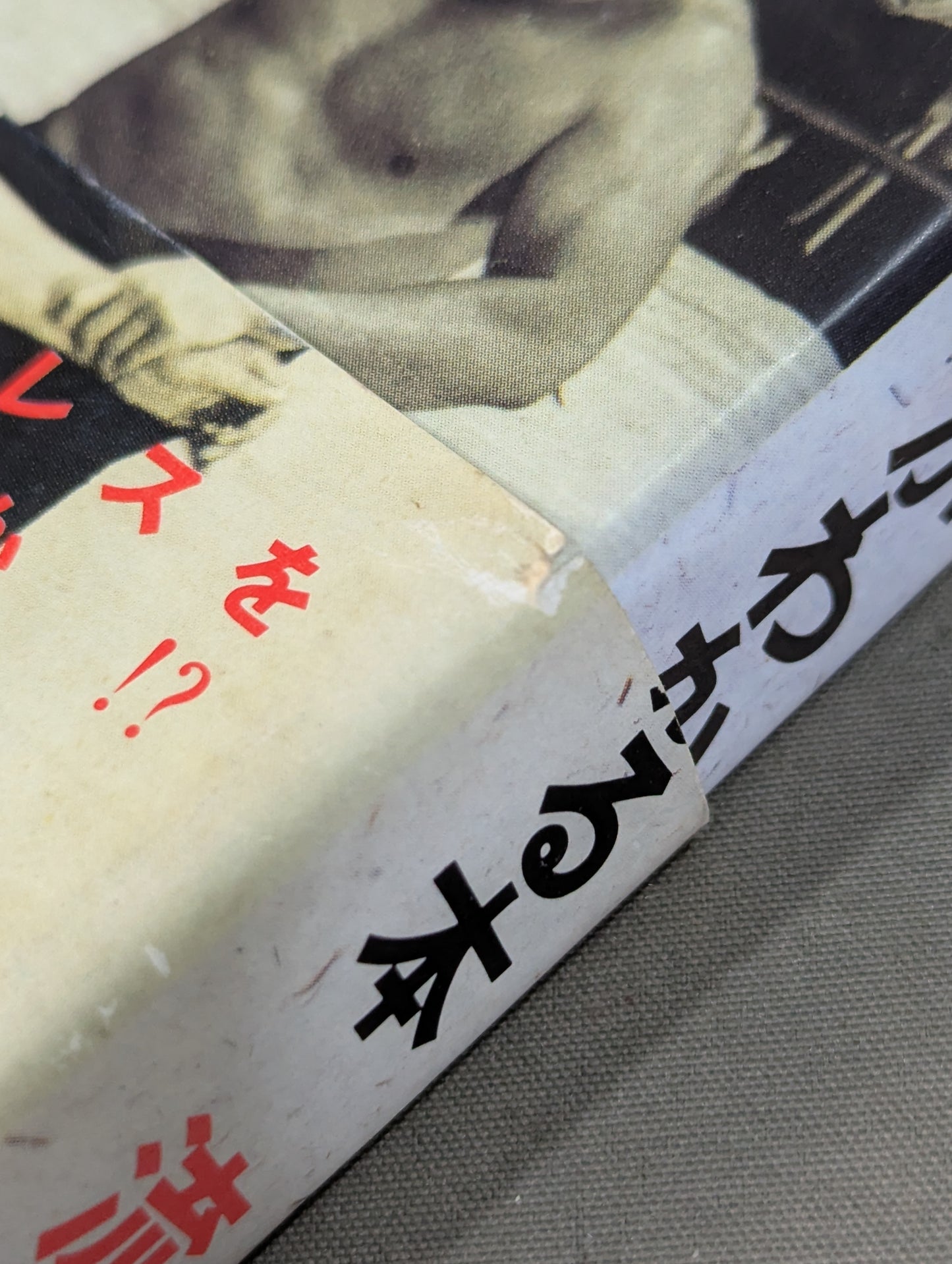 A book that tells you about Pro Wrestling so much that you can understand it frighteningly