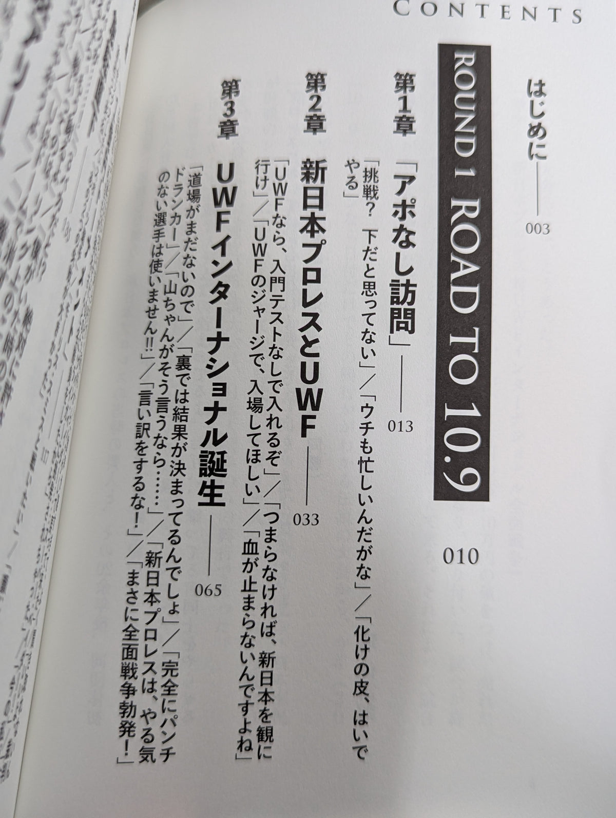 10.9 プロレスのいちばん熱い日　新日本プロレスvsUWFインターナショナル全面戦争　30年目の真実