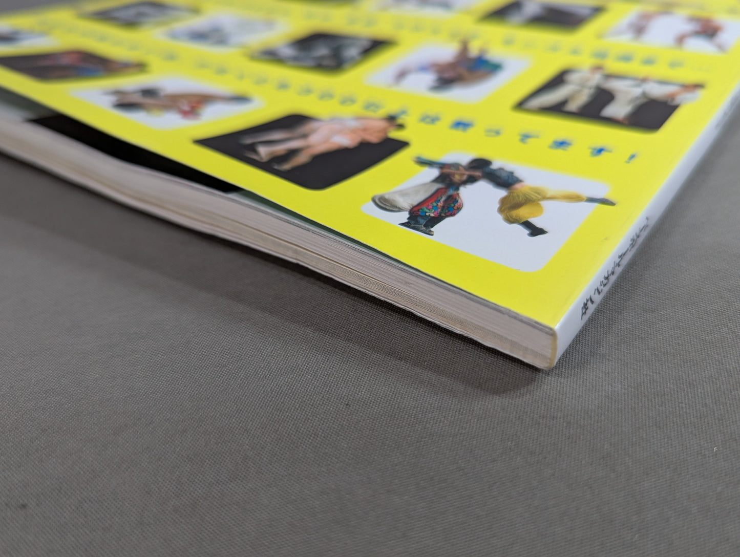 A must-have for 6 billion people in the world Encyclopedia of martial arts 21st century revised edition It is an art book rather than a sport