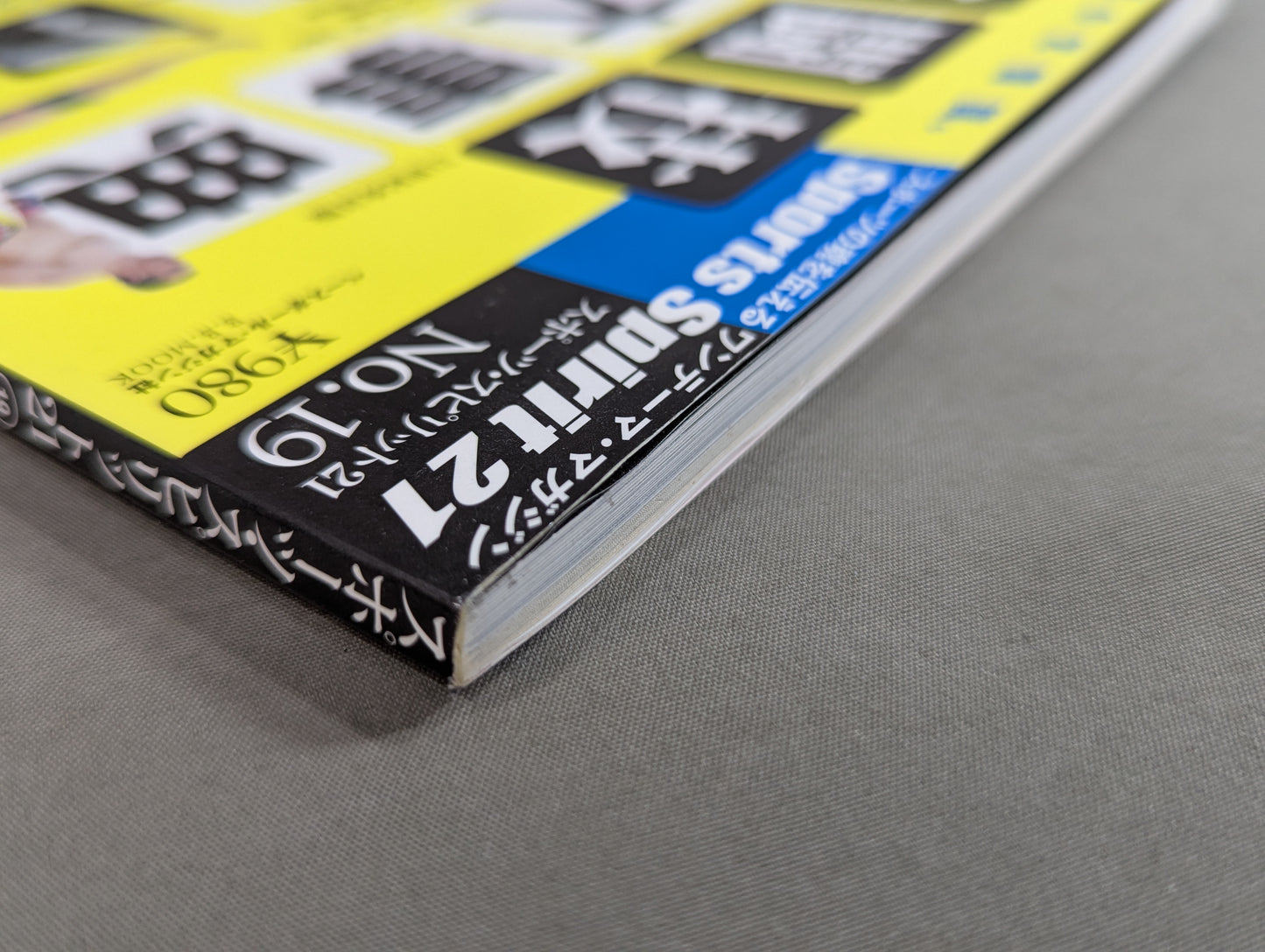 A must-have for 6 billion people in the world Encyclopedia of martial arts 21st century revised edition It is an art book rather than a sport