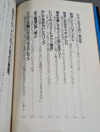 続オフ・ザ・リング / ザ・レスラー その光と影