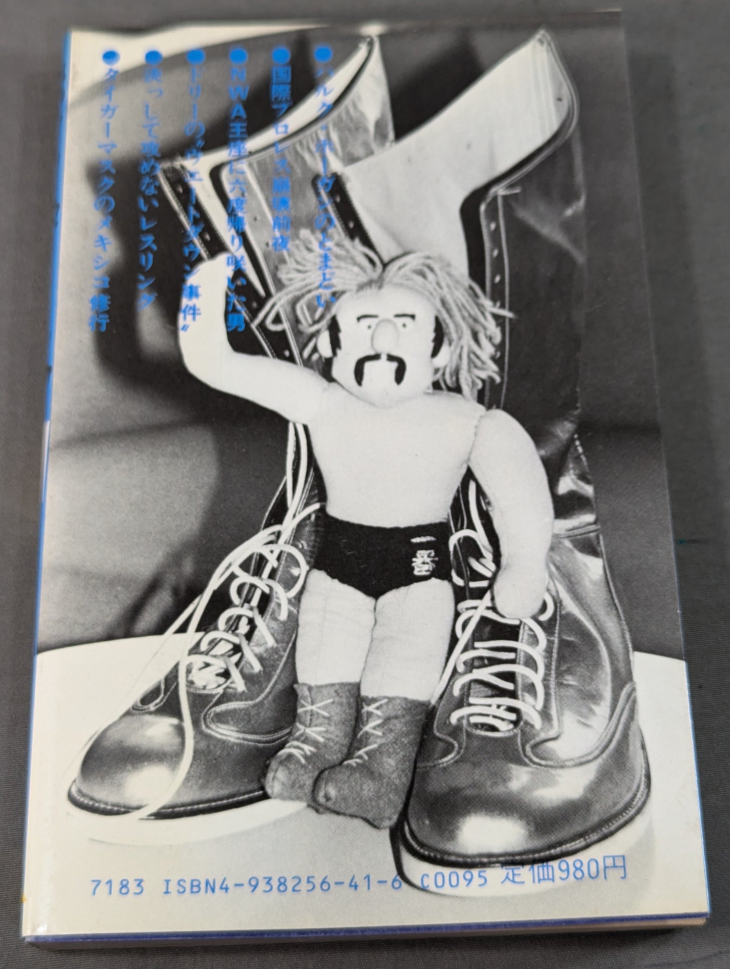 続オフ・ザ・リング / ザ・レスラー その光と影