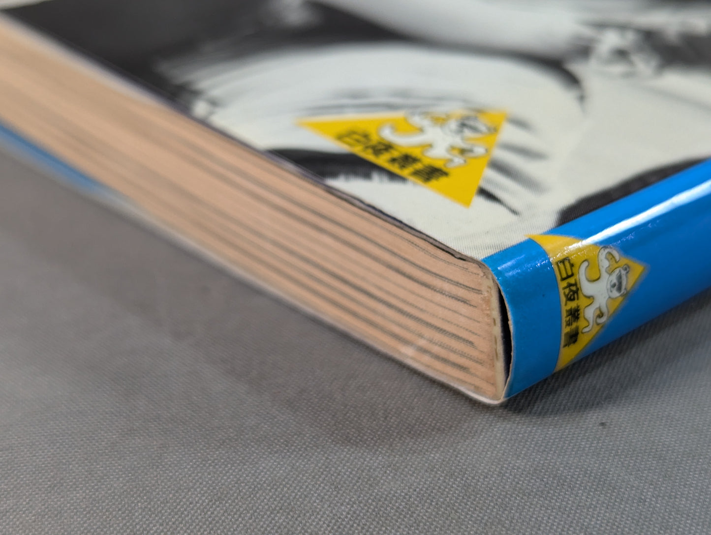 続オフ・ザ・リング / ザ・レスラー その光と影