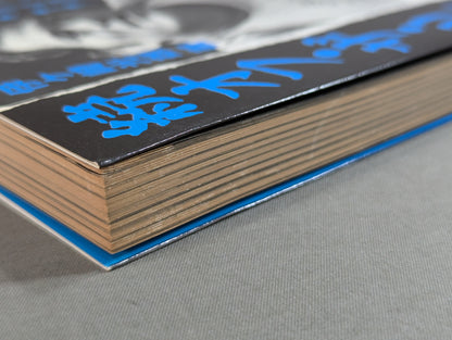 続オフ・ザ・リング / ザ・レスラー その光と影