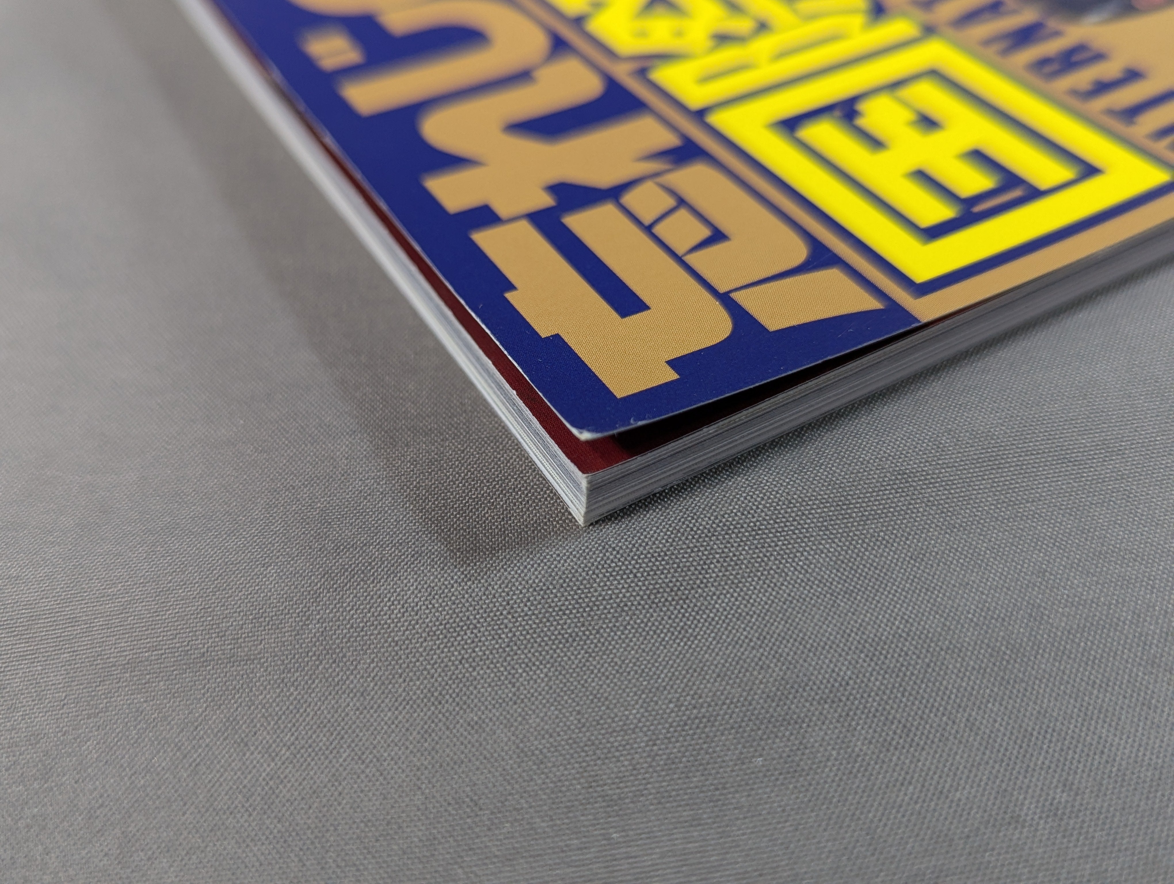 忘れじの国際プロレス – 闘道館