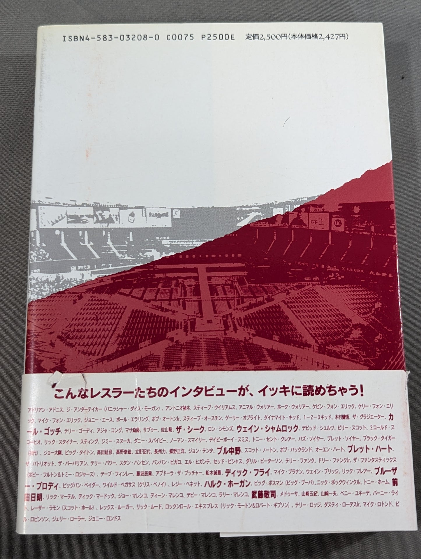 デケード プロレスラー100人の証言集(下)