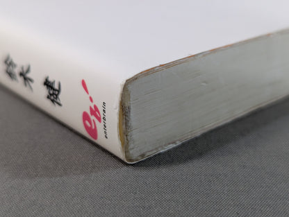 最強のプロレス団体 UWFインターの真実 ～夢と1億円～