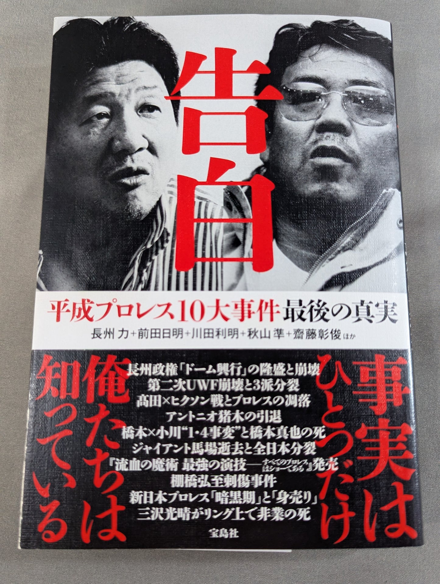 Confession Heisei Pro Wrestling  10 Major Incidents The Last Truth