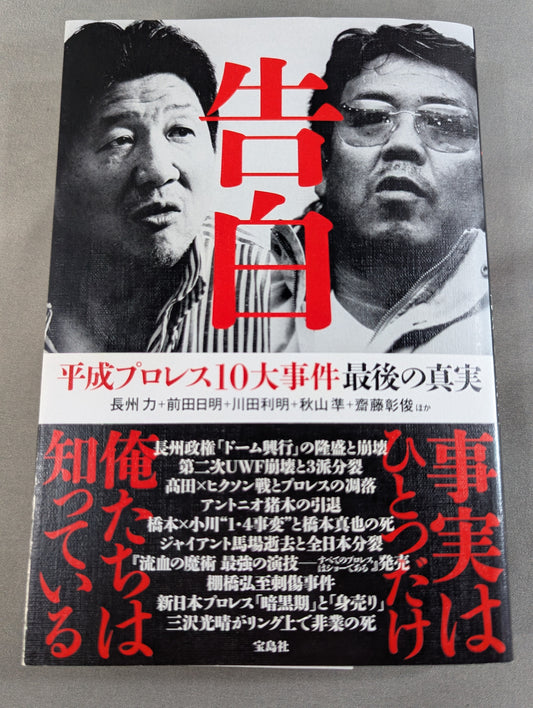 Confession Heisei Pro Wrestling  10 Major Incidents The Last Truth