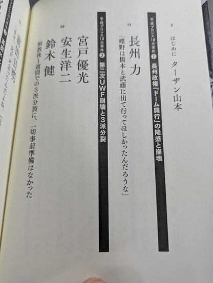 Confession Heisei Pro Wrestling  10 Major Incidents The Last Truth