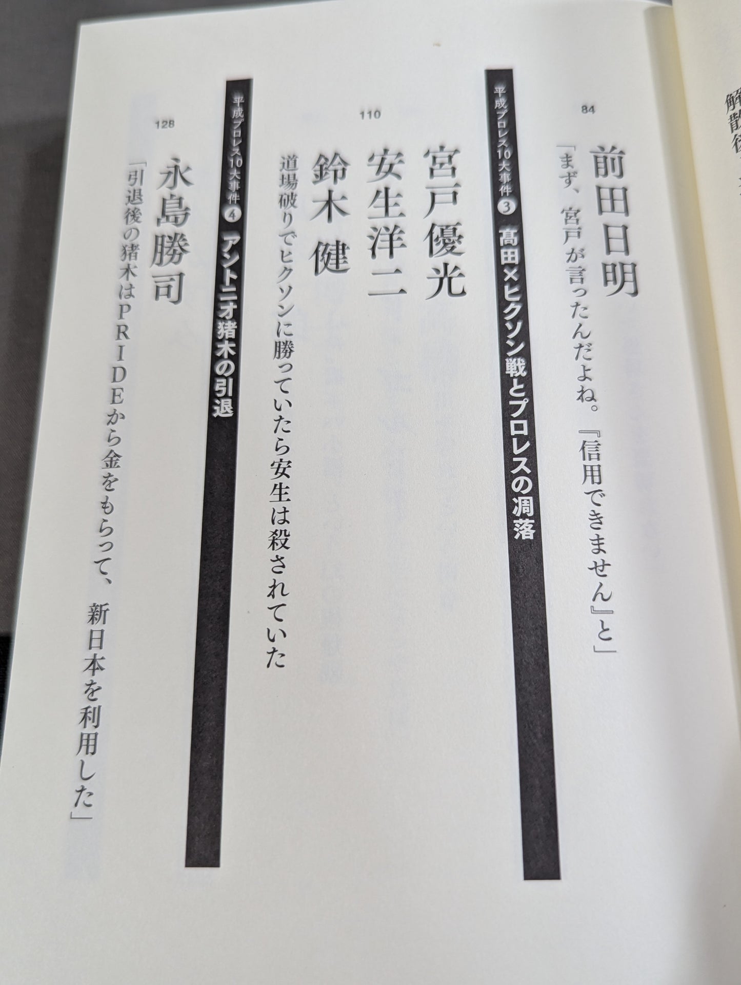 Confession Heisei Pro Wrestling  10 Major Incidents The Last Truth