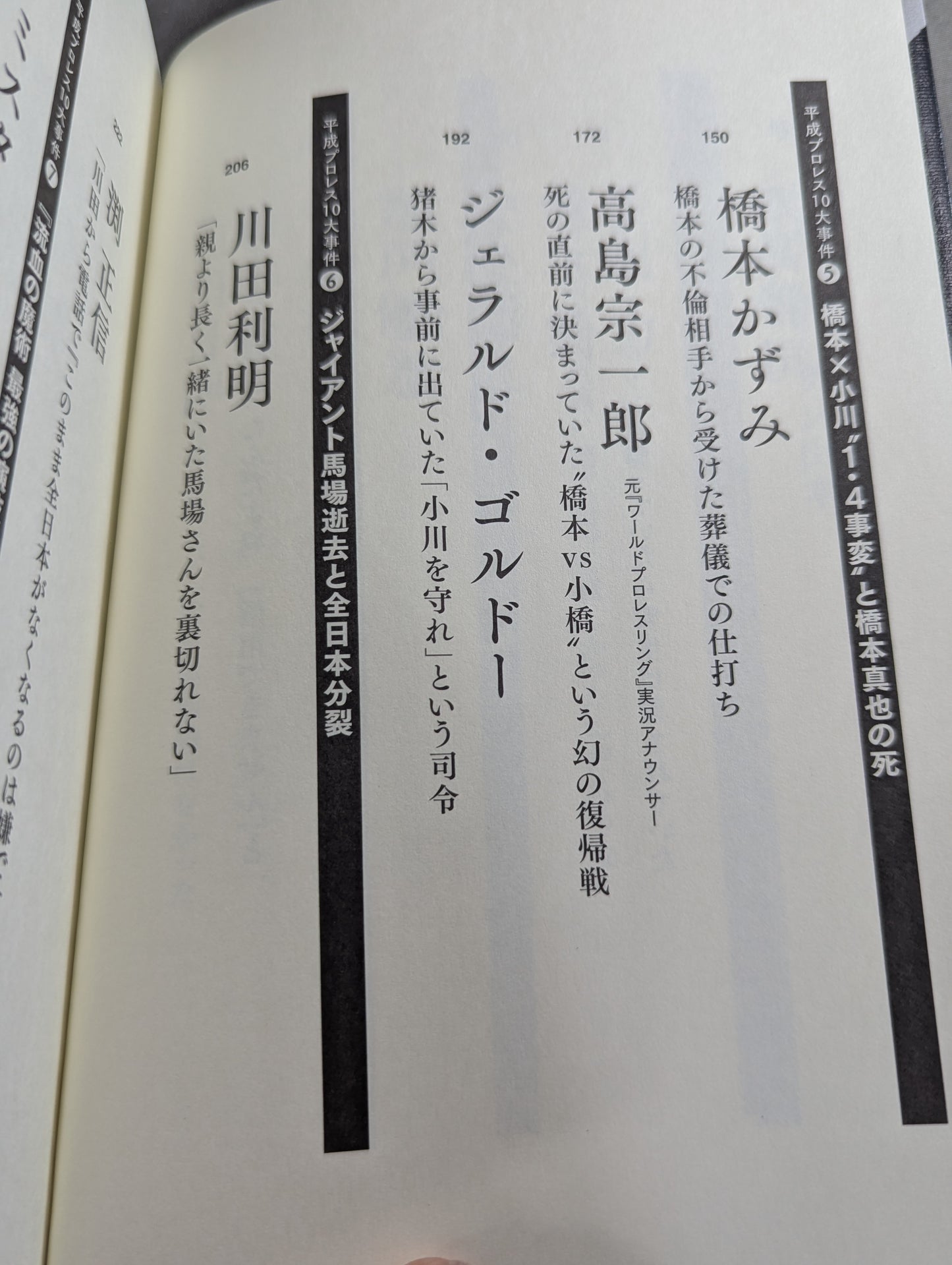 Confession Heisei Pro Wrestling  10 Major Incidents The Last Truth