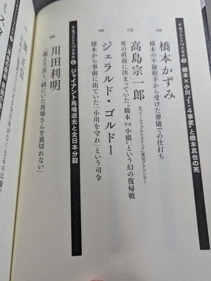 Confession Heisei Pro Wrestling  10 Major Incidents The Last Truth
