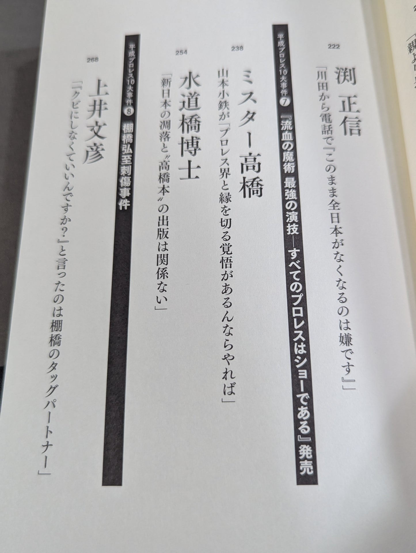 Confession Heisei Pro Wrestling  10 Major Incidents The Last Truth