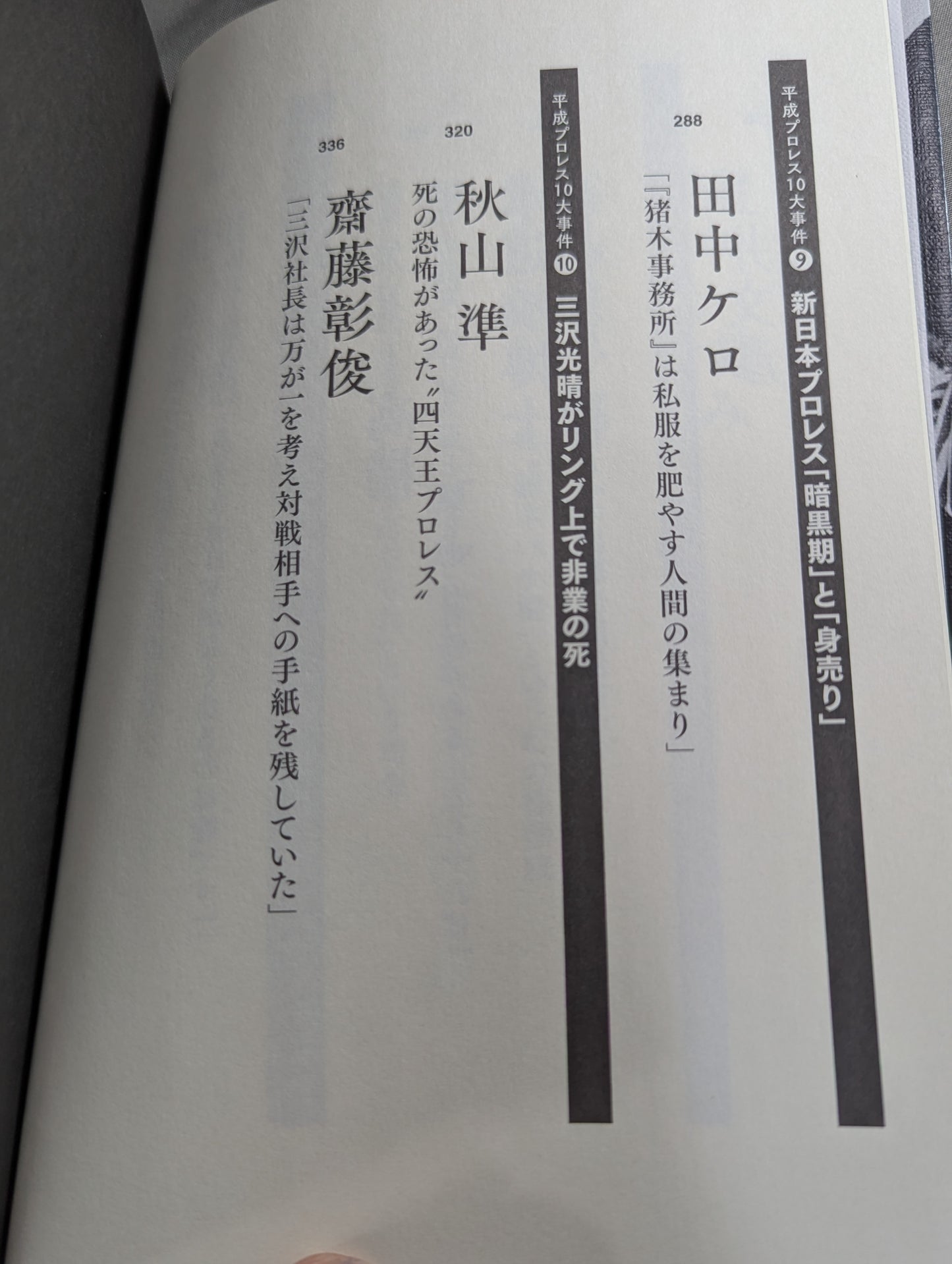 Confession Heisei Pro Wrestling  10 Major Incidents The Last Truth