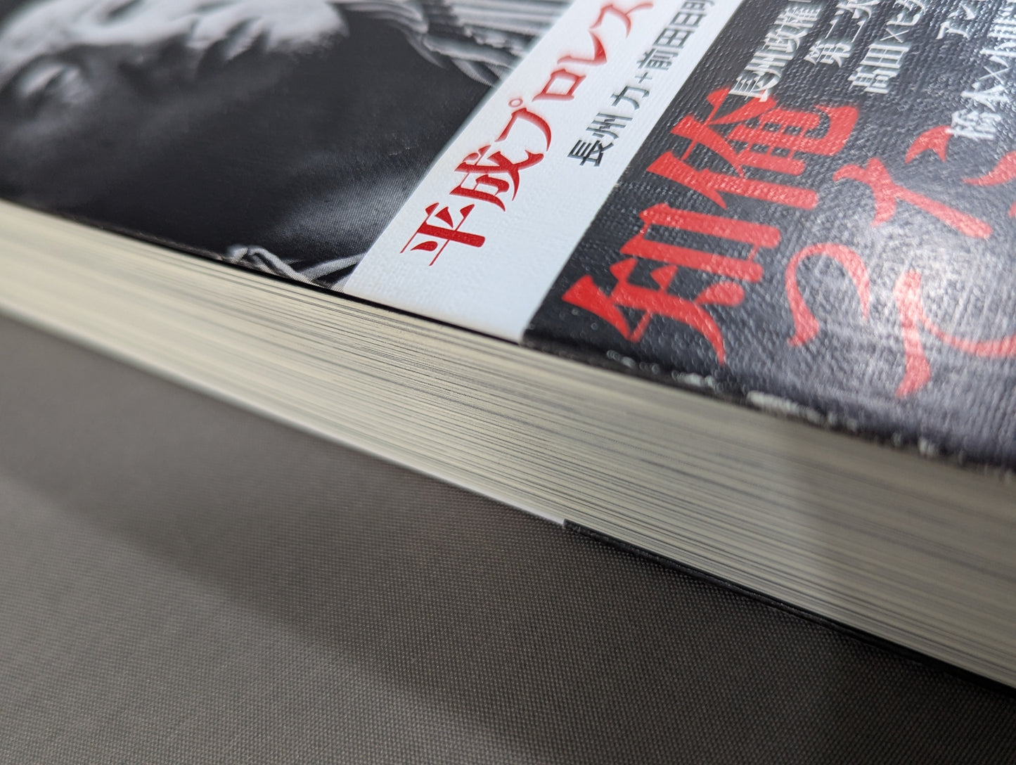 Confession Heisei Pro Wrestling  10 Major Incidents The Last Truth