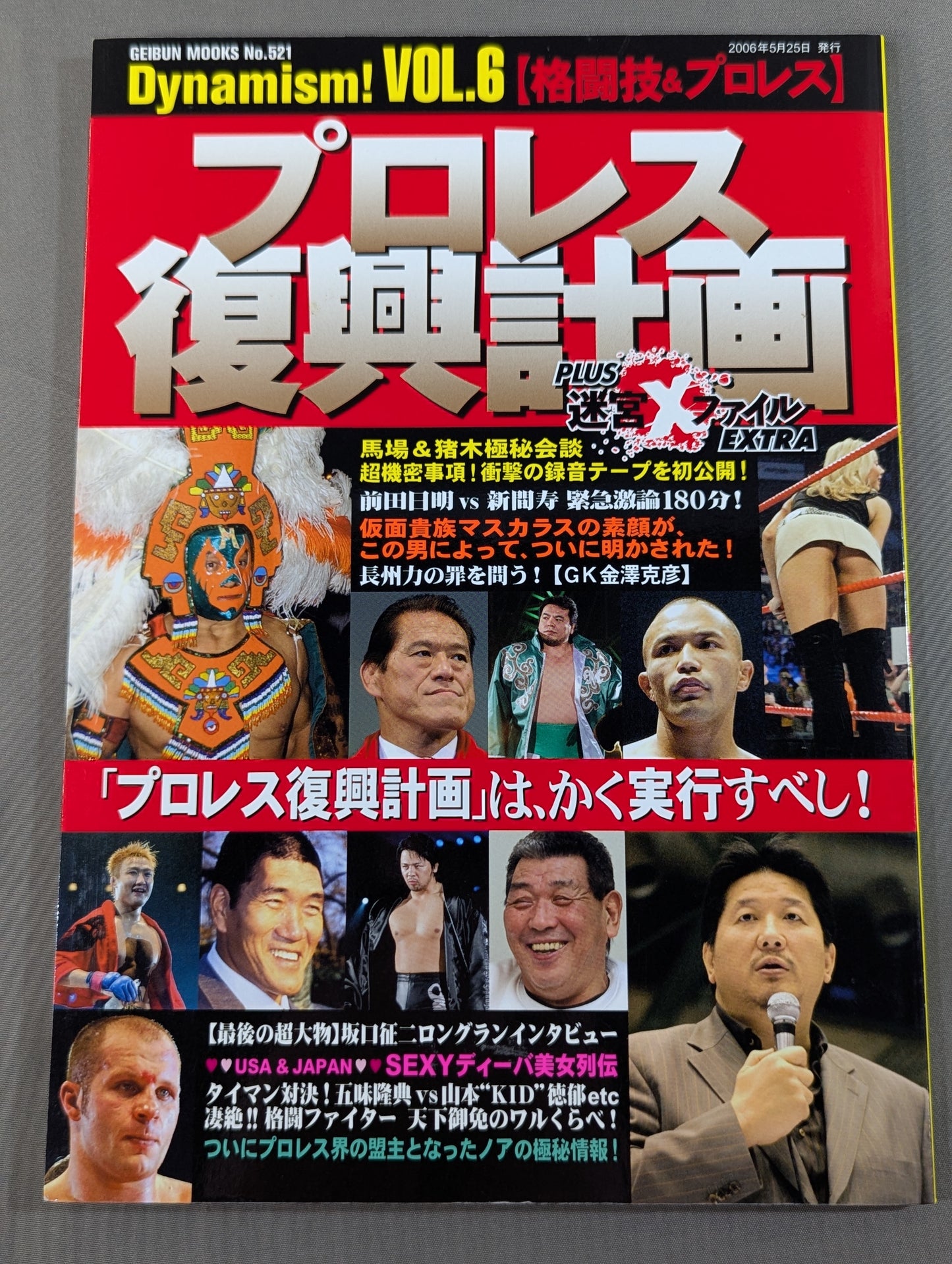 ［格闘技＆プロレス］ プロレス復興計画 PLUS迷宮Xファイル EXTRA