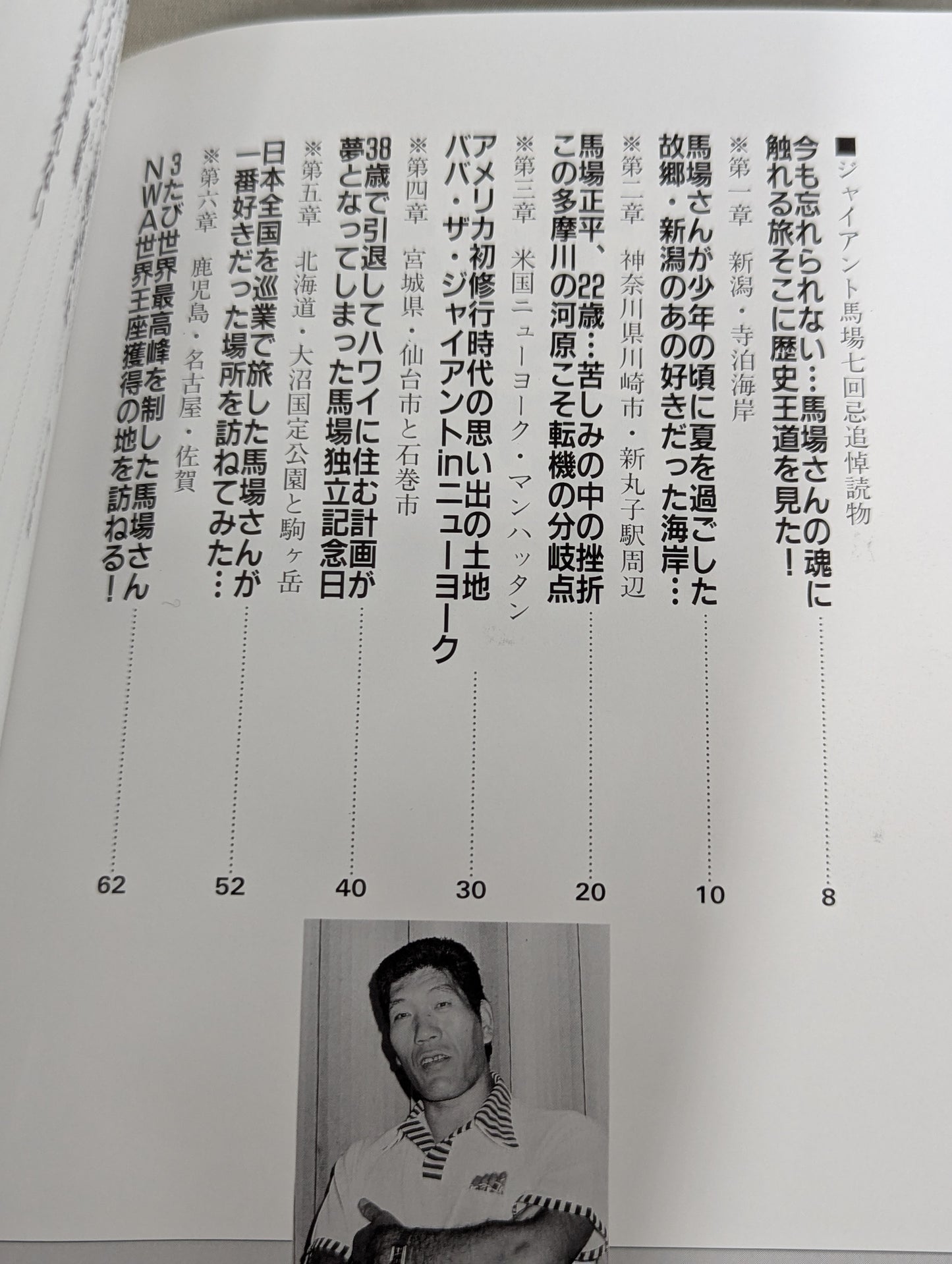【DVD付】私たちは馬場さんを忘れない  歴史王道