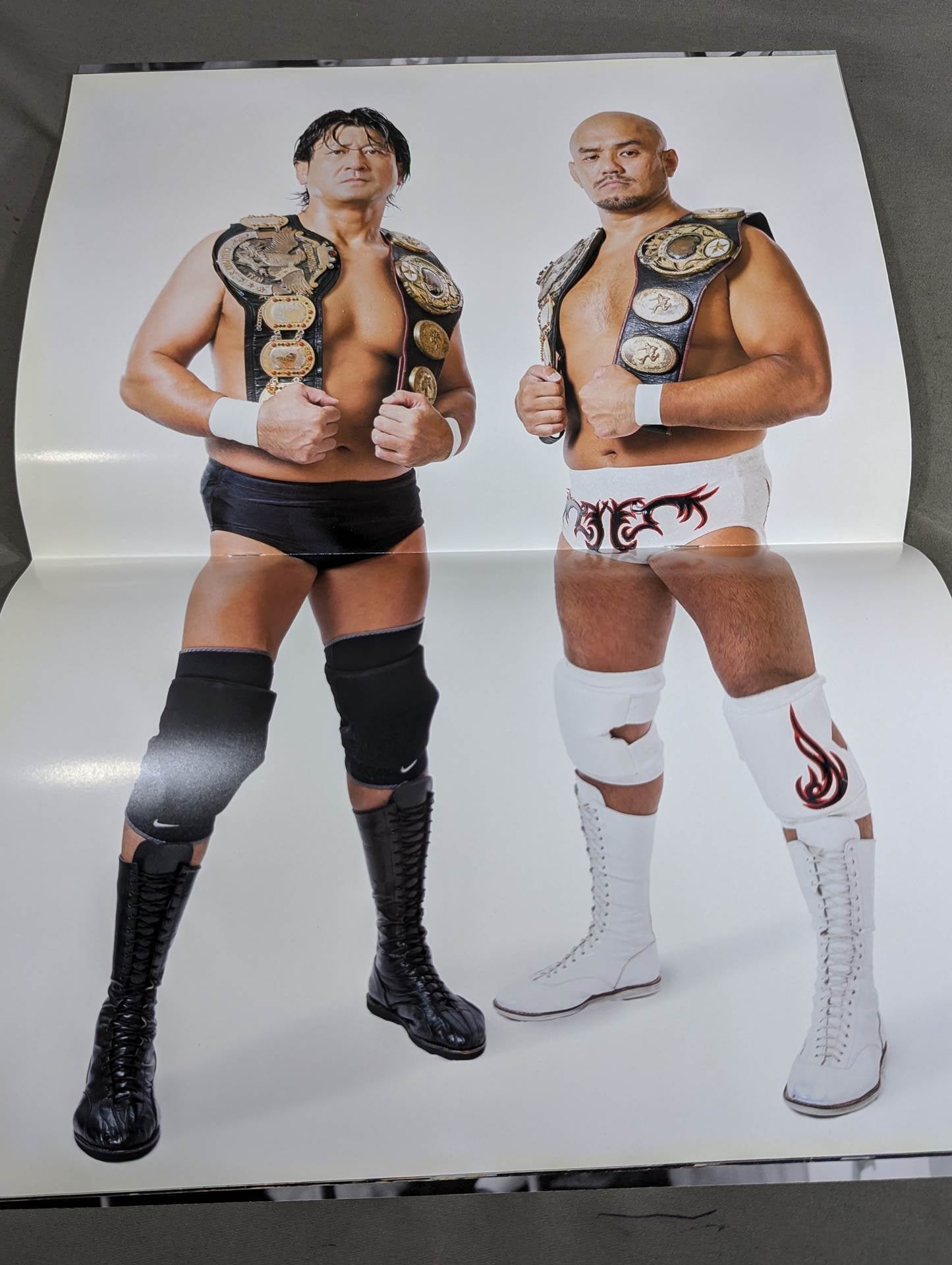 直筆Wサイン入り】秋山準&大森隆男 デビュー25周年記念フォト