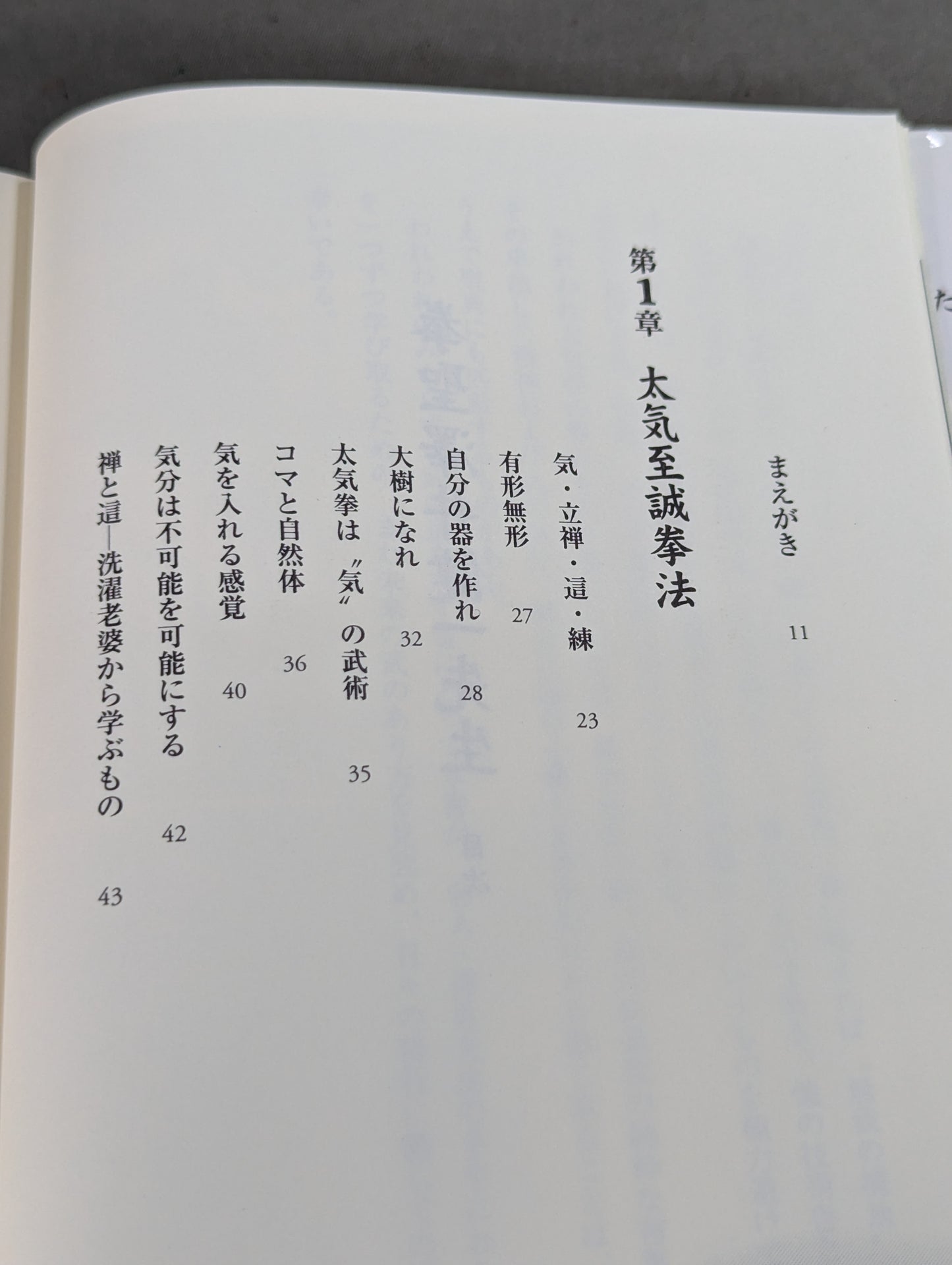 拳聖 澤井健一先生(新版)