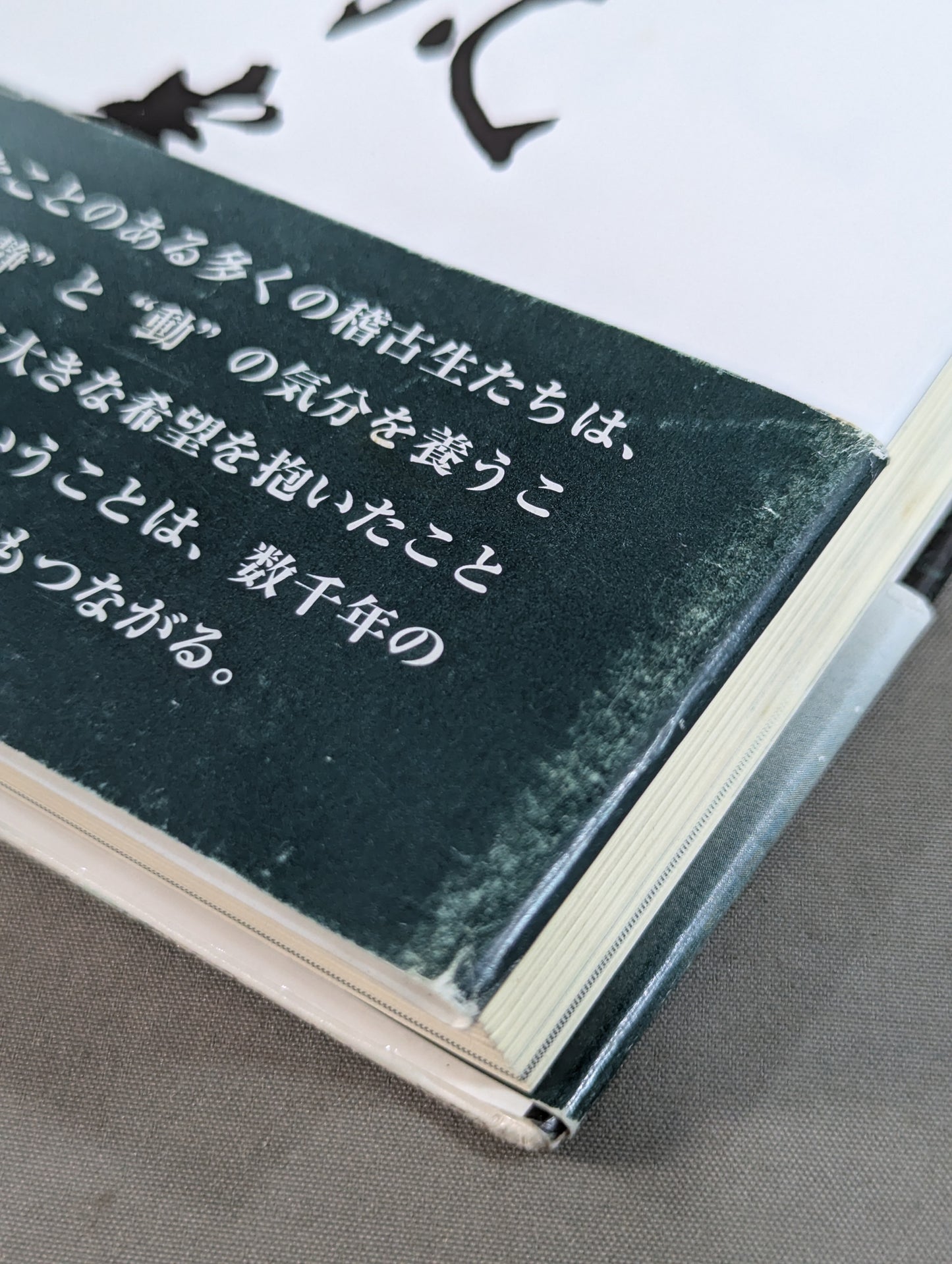 拳聖 澤井健一先生(新版)