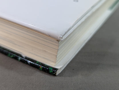 拳聖 澤井健一先生(新版)