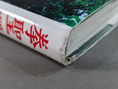 拳聖 澤井健一先生(新版)