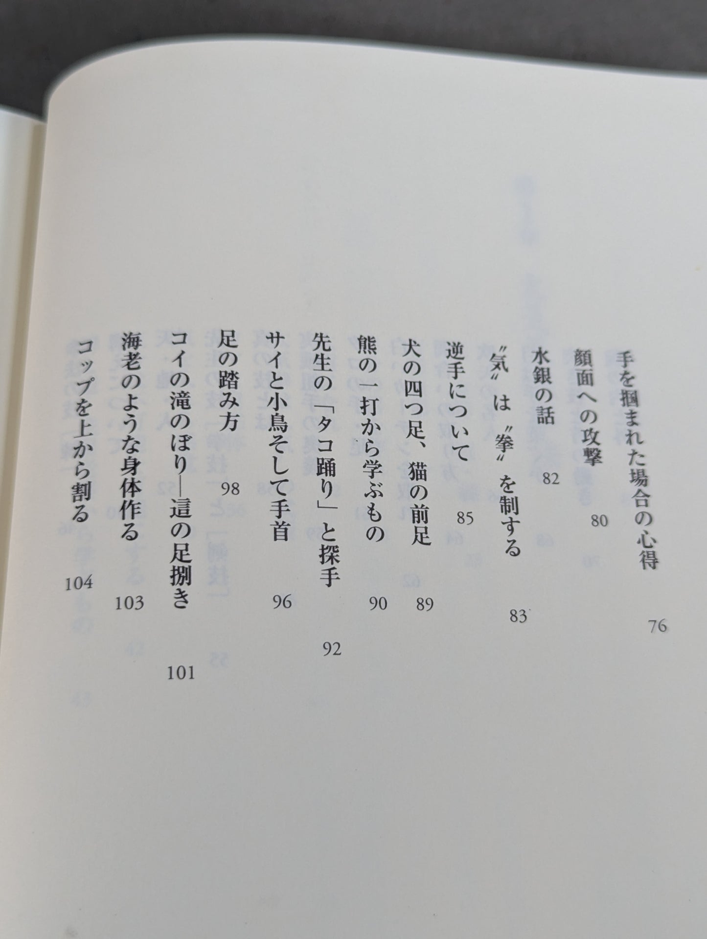 拳聖 澤井健一先生(新版)