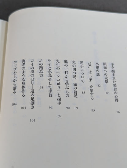 拳聖 澤井健一先生(新版)
